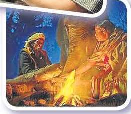 INDIA SHINES IN OSCAR NOMS, BAGS 3 INDIA SHINES IN OSCAR NOMS, BAGS 3