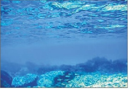 Minerals in Indian Ocean can turn India self-sufficient in nickel, cobalt: International Seabed Authority chief Minerals in Indian Ocean can turn India self-sufficient in nickel, cobalt: International Seabed Authority chief