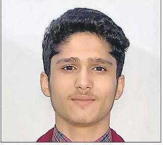 「太陽エネルギーとバイオマスは、国の景観全体をカバーできる 2 つの最も実行可能な選択肢です。」