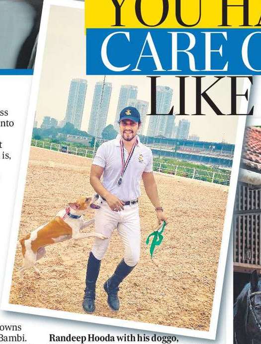 ‘YOU HAVE TO TAKE
CARE OF YOUR PET
LIKE A PARENT’