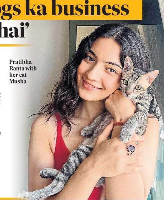 「10億の犬たち、ビジネスカムカーディヤハイ」