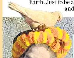 マハ・クンブ 2025