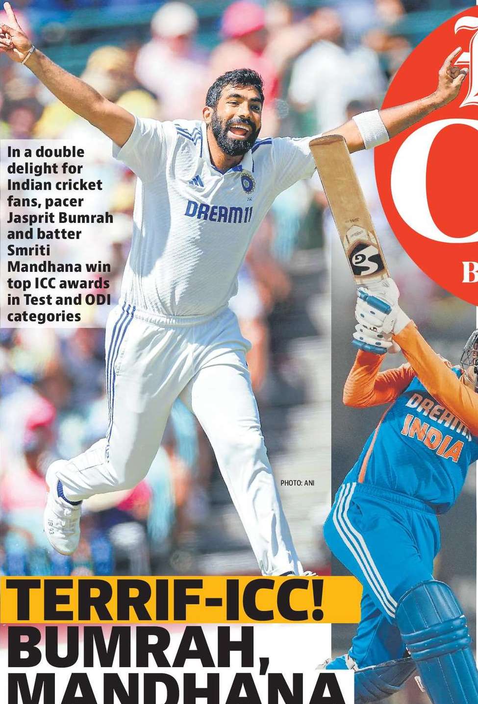 すごい！バムラ、マンダナ バッグ トフォノール