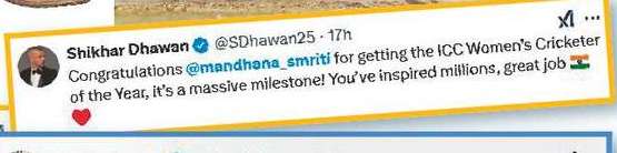 すごい！バムラ、マンダナ バッグ トフォノール