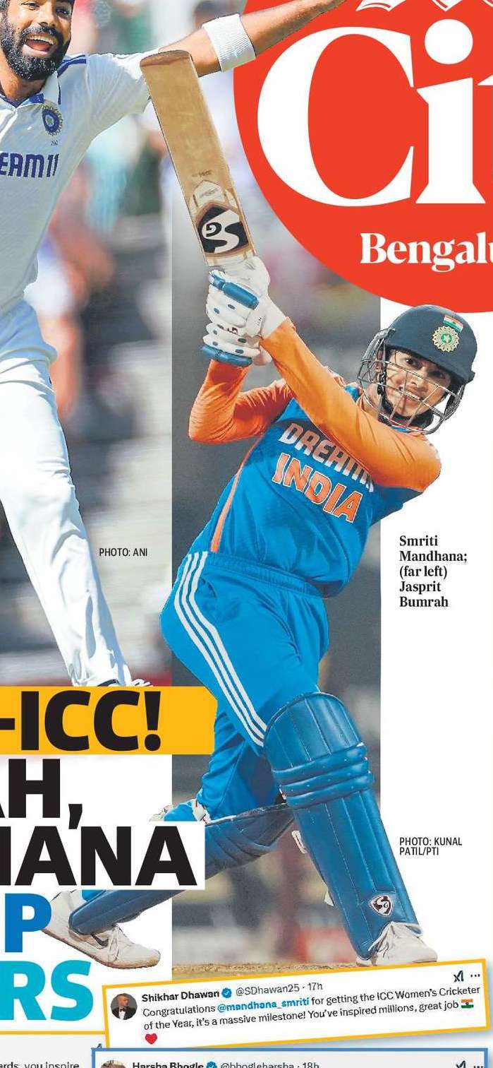 すごい！バムラ、マンダナ バッグ トフォノール