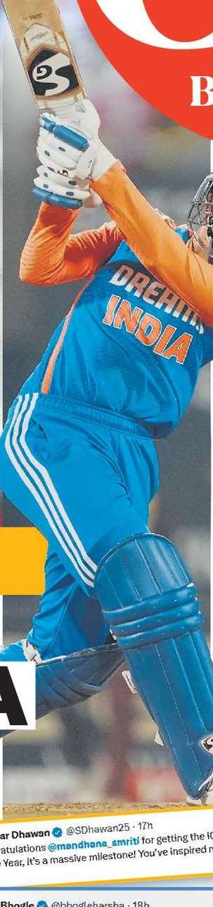 すごい！バムラ、マンダナ バッグ トフォノール