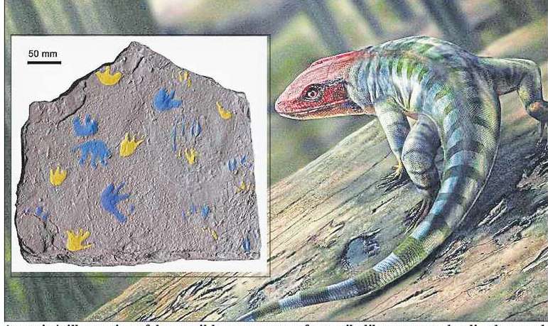 最古の足跡の化石が、動物が陸上で暮らし始めた時期の歴史を書き換える